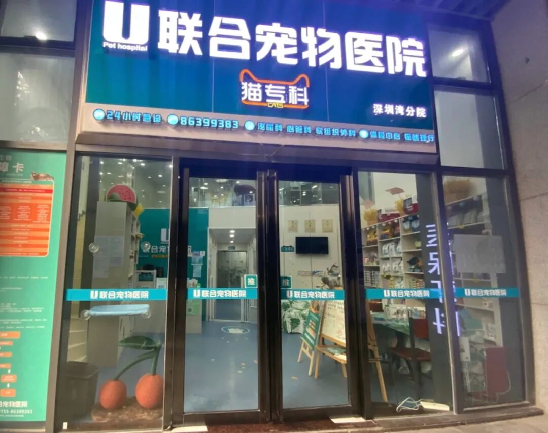 5招教你读懂主子们的小心思！