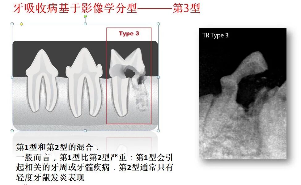 活动篇| 啊，让你的宠物张张嘴