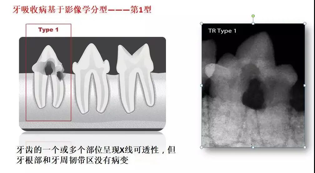 活动篇| 啊，让你的宠物张张嘴