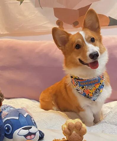 选秀送好礼！看看你家主子上榜了吗？