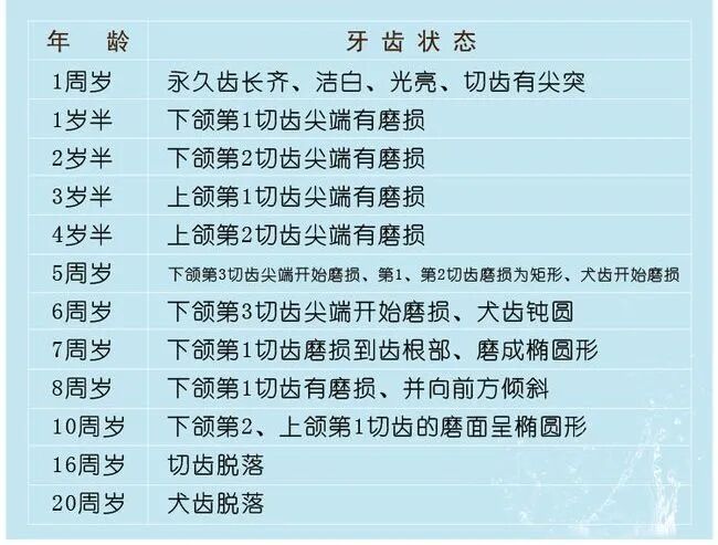 哦？牙齿居然还有这种作用！