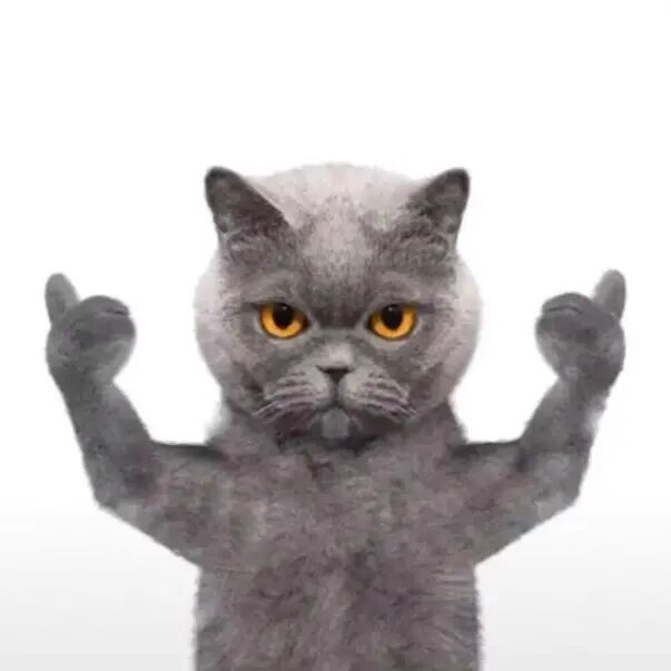 哦？牙齿居然还有这种作用！