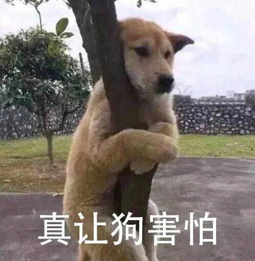 哦？牙齿居然还有这种作用！