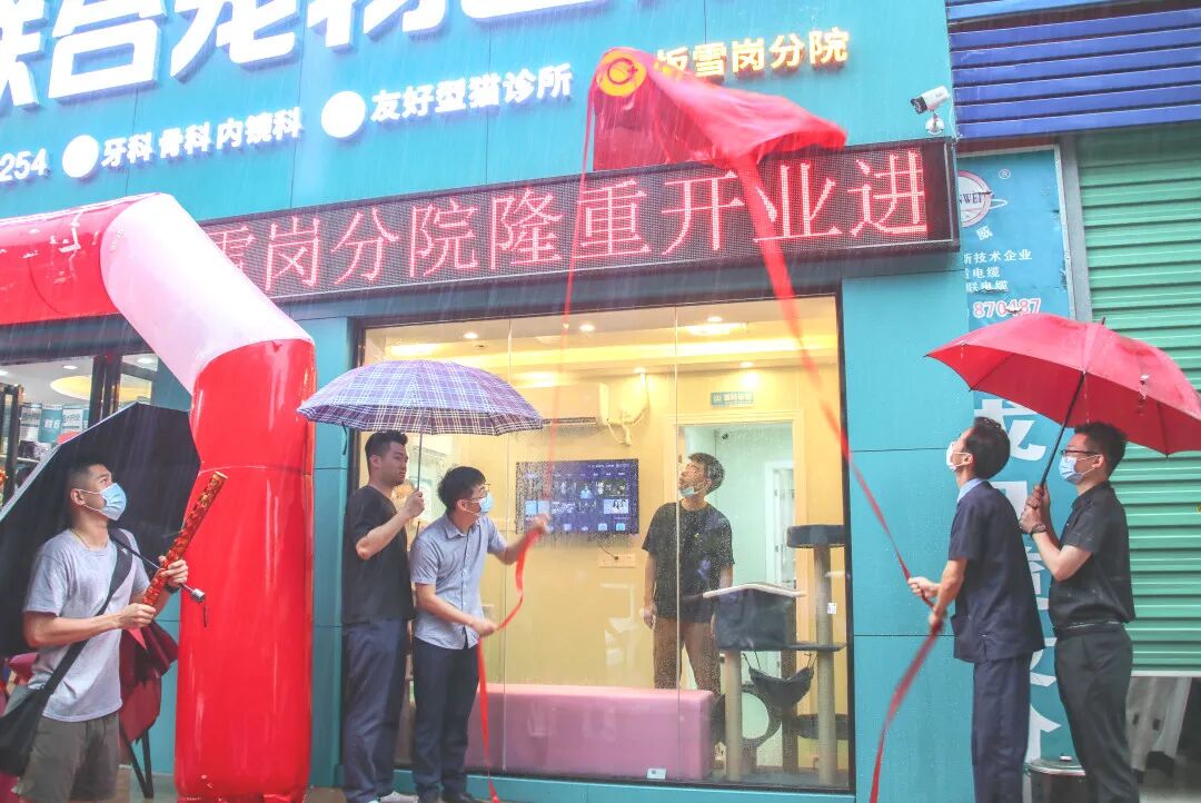 惊喜、好礼，坂雪岗分院都给你