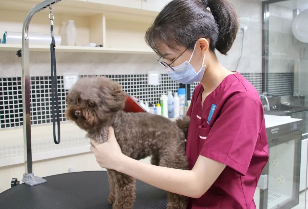 惊喜、好礼，坂雪岗分院都给你