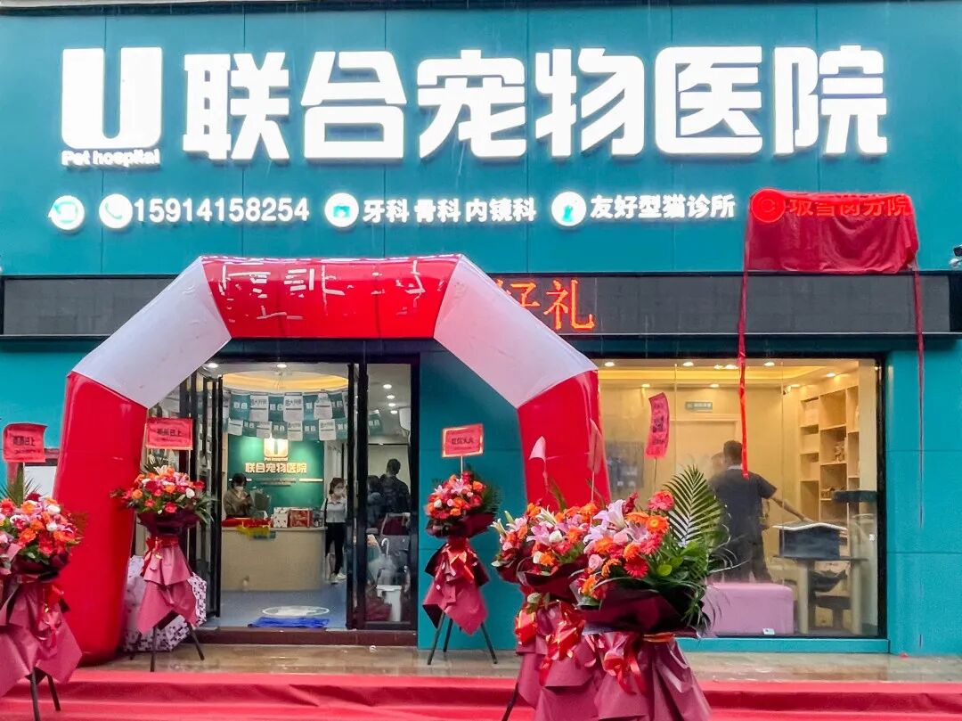 惊喜、好礼，坂雪岗分院都给你