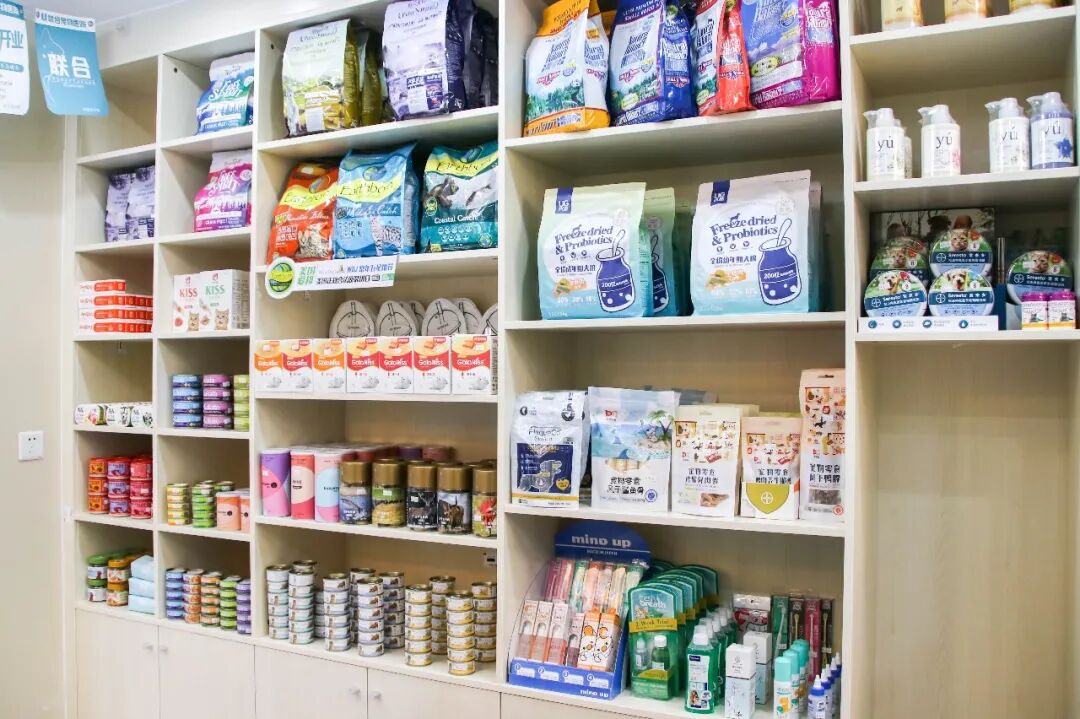 惊喜、好礼，坂雪岗分院都给你