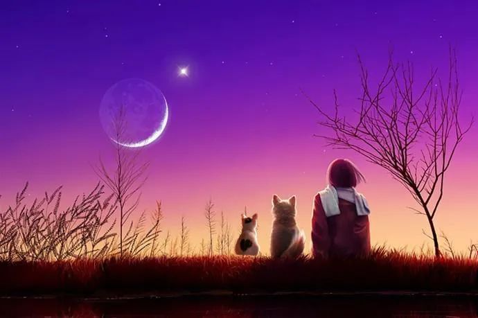 猫狗大战，一触即发