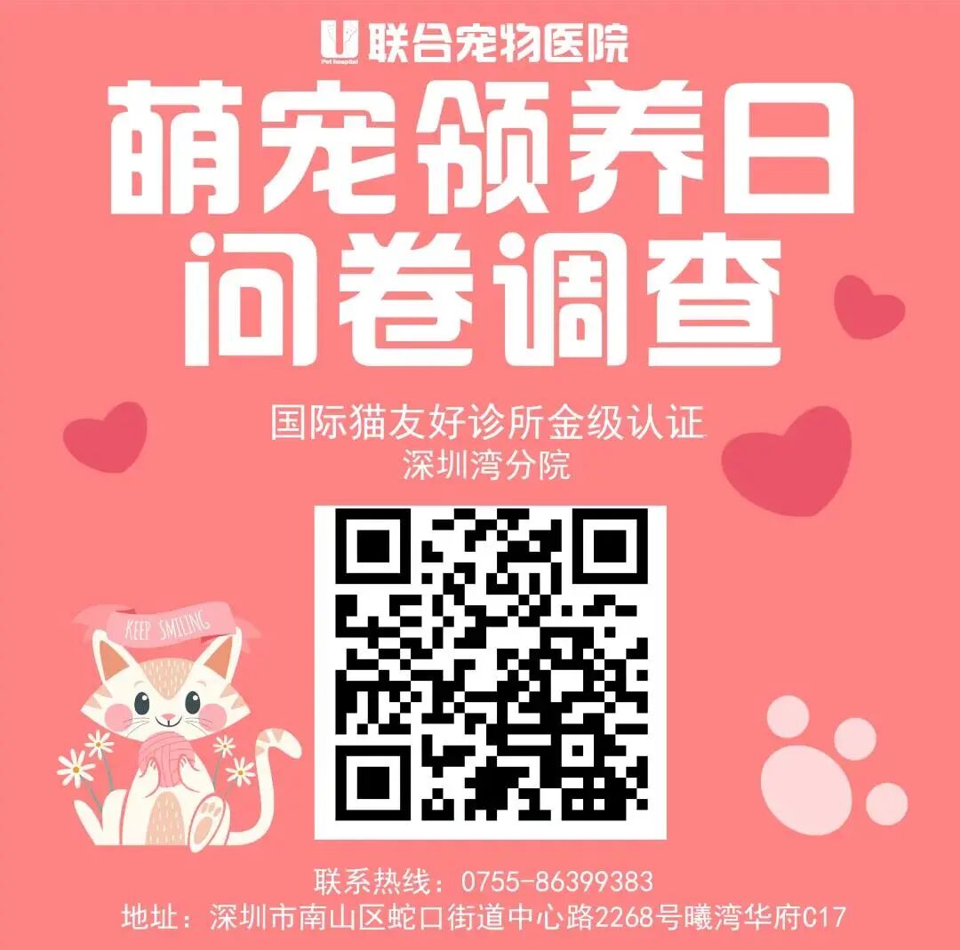 猫狗大战，一触即发