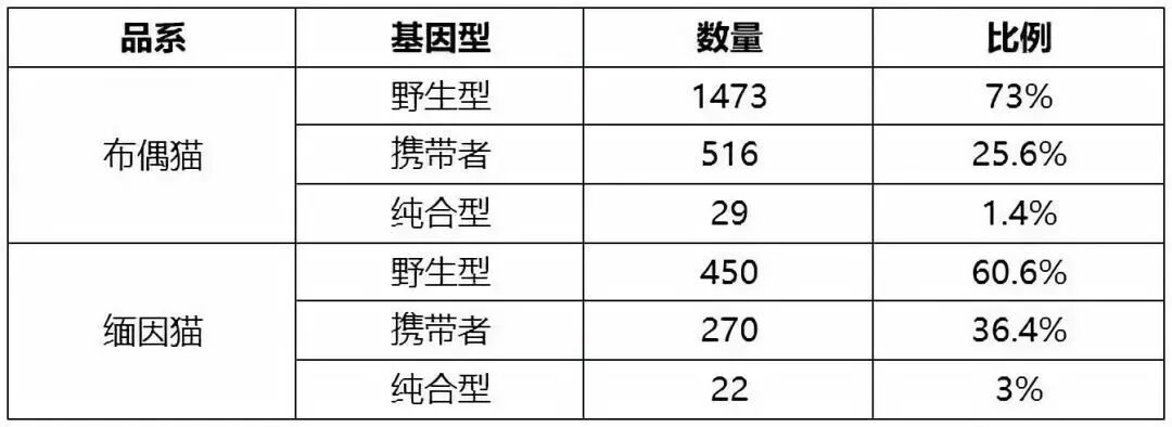 @你家的猫咪：你相信光吗？