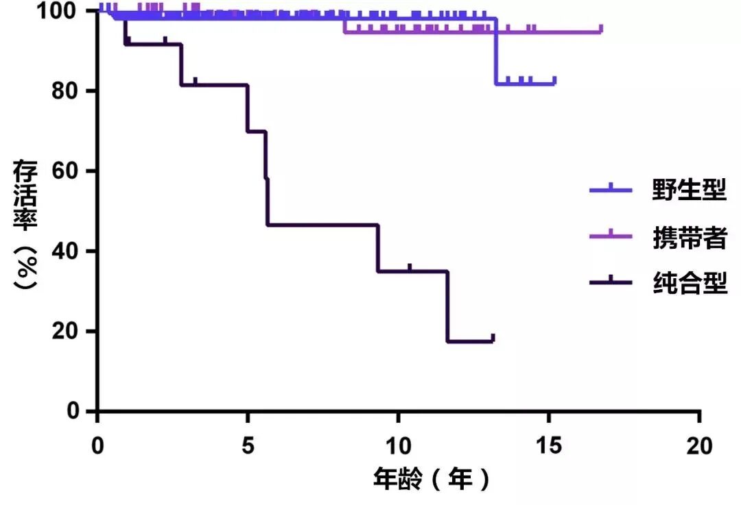 @你家的猫咪：你相信光吗？