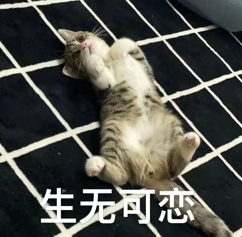 喵界惊现痛苦面具？猫奴们坐不住了！