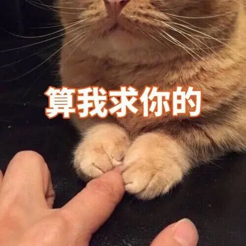 喵界惊现痛苦面具？猫奴们坐不住了！