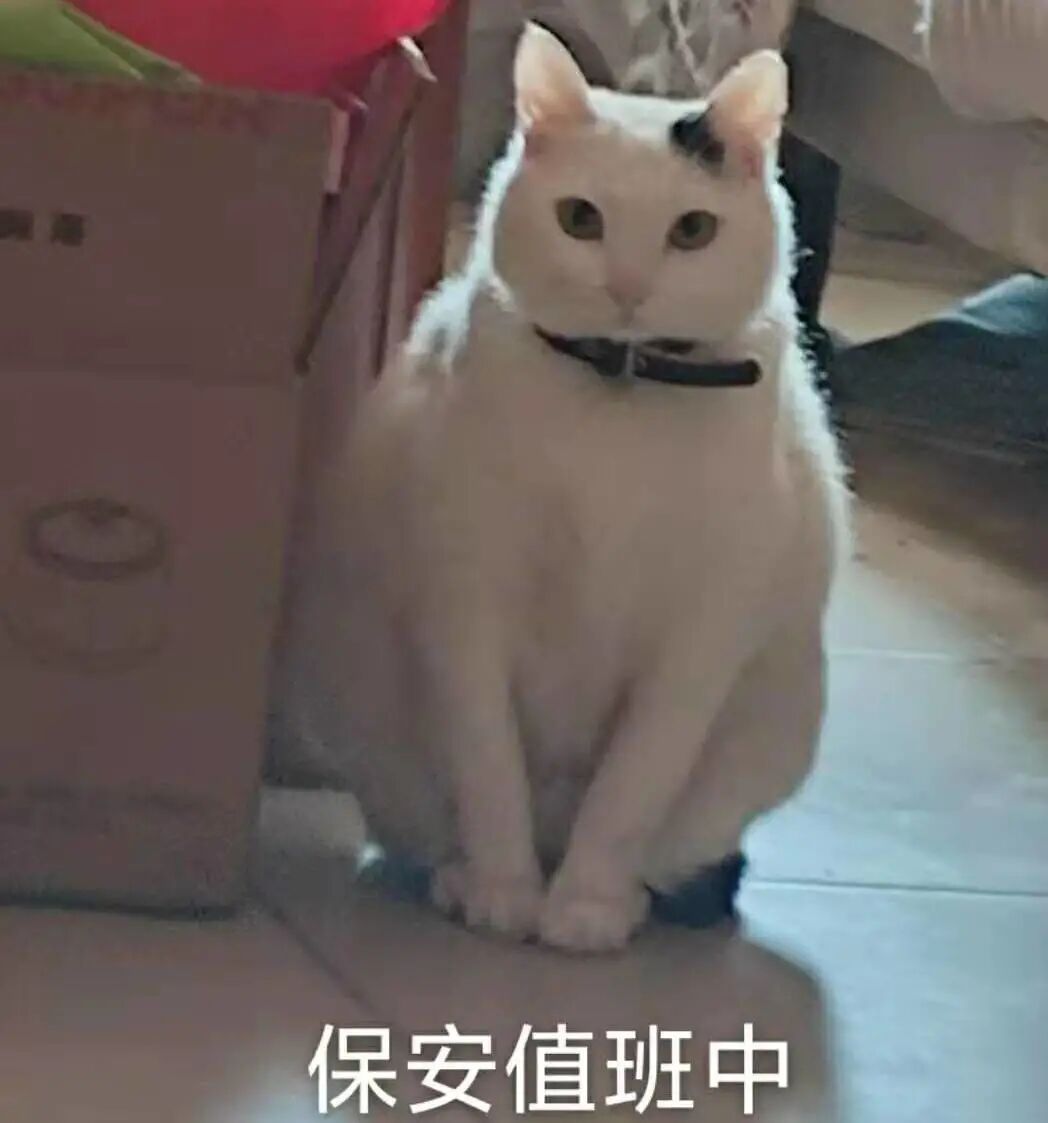 喵界惊现痛苦面具？猫奴们坐不住了！