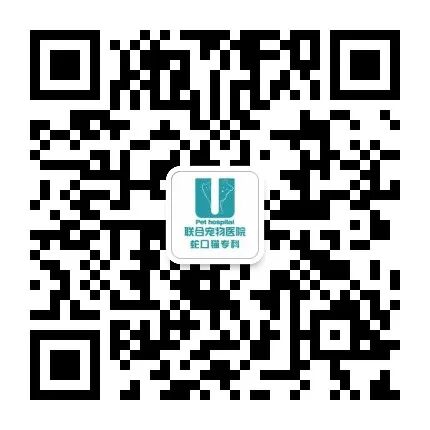 喵界惊现痛苦面具？猫奴们坐不住了！