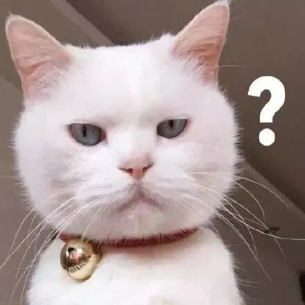 转眼间，我家的主子“离家出走”了！？