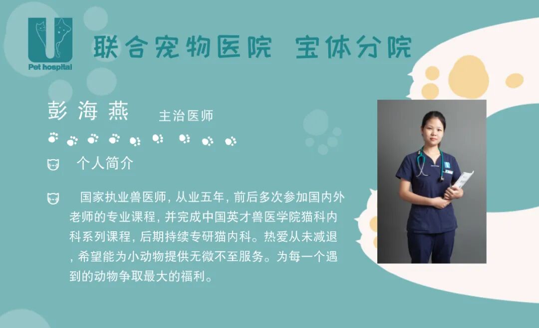 活动篇 | 宝体4周年庆狂欢盛宴！