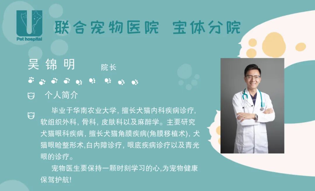 活动篇 | 宝体4周年庆狂欢盛宴！