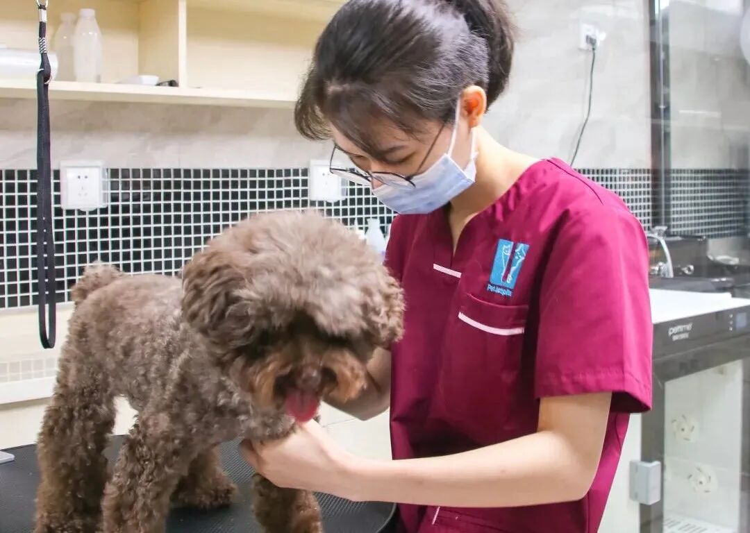 惊喜、好礼，坂雪岗分院都给你