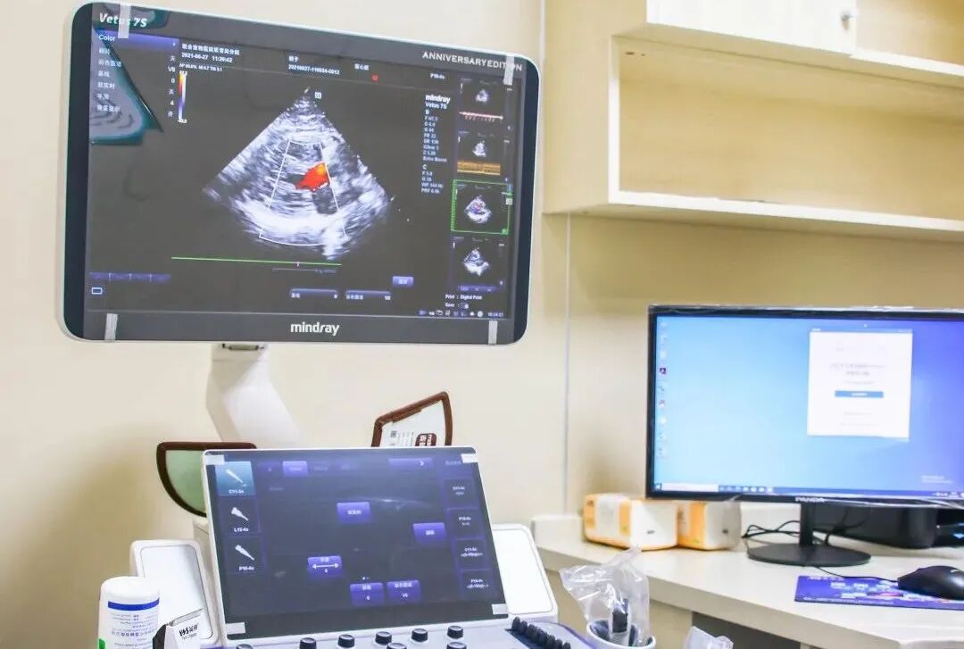 惊喜、好礼，坂雪岗分院都给你