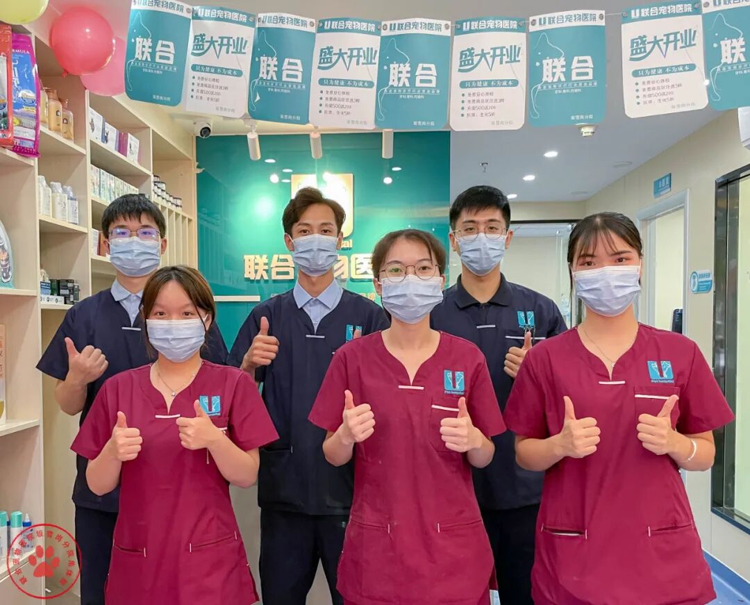 惊喜、好礼，坂雪岗分院都给你