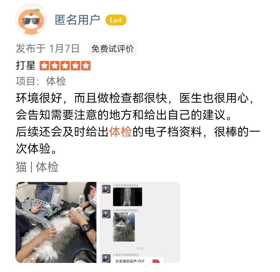 猫咪体检报告上的这些词，你都认识吗？