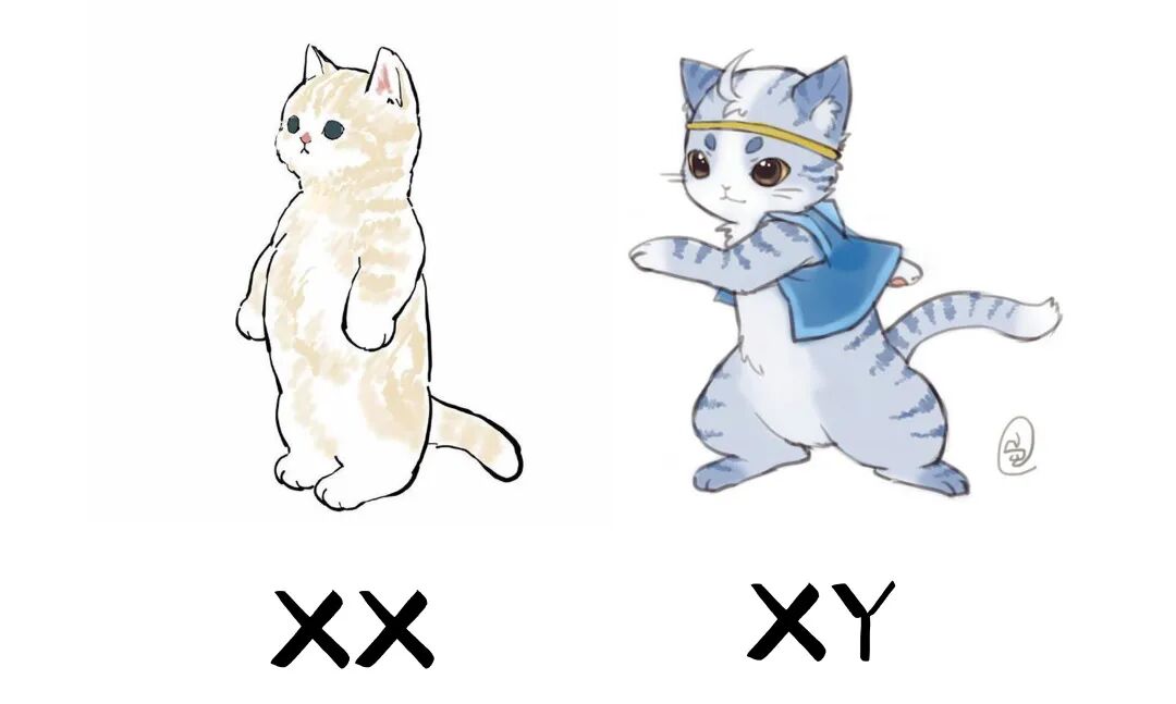嗯？猫咪到底有多“色”！