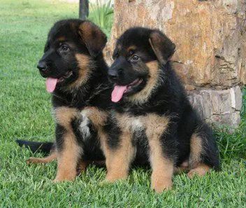 差一点，我就有了“铁饭碗”...