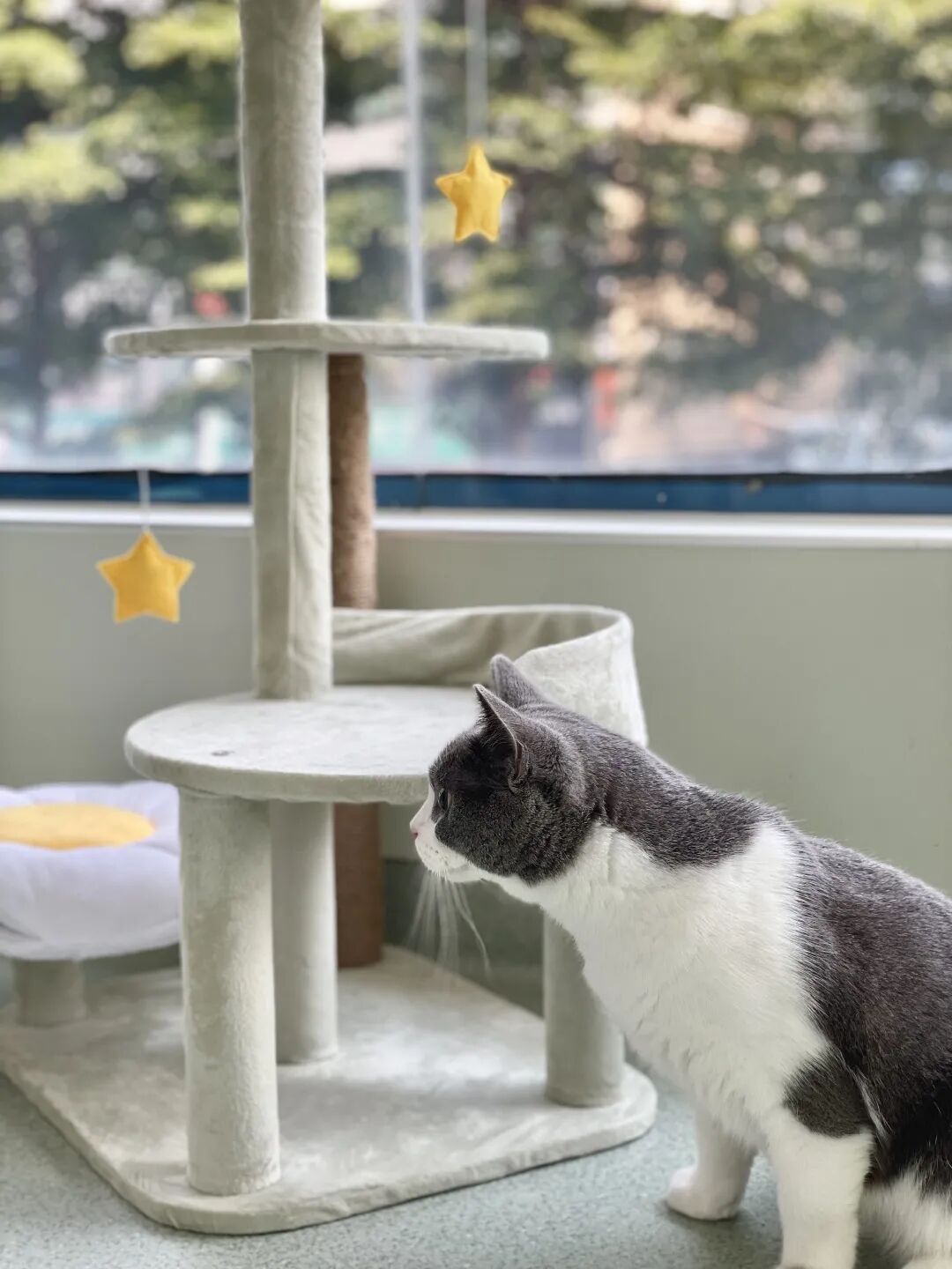 这难道不比东京奥运会开幕燃？