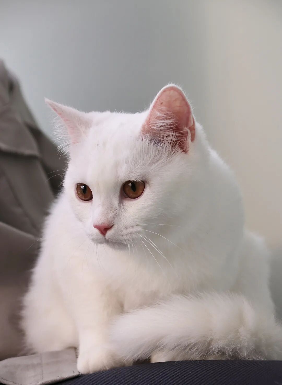 这难道不比东京奥运会开幕燃？