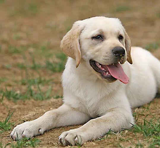 划水居然还有专业的？！