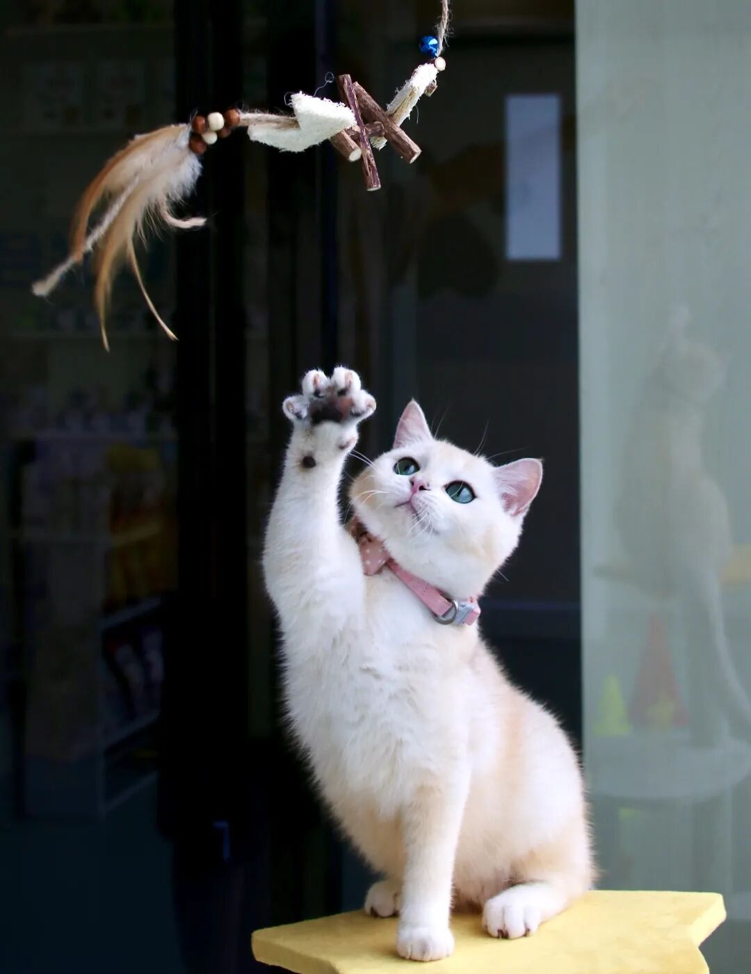 这难道不比东京奥运会开幕燃？