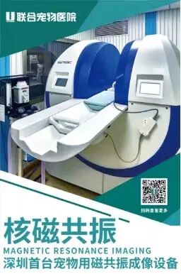 进店就送好礼，特惠活动又双叒叕来啦！