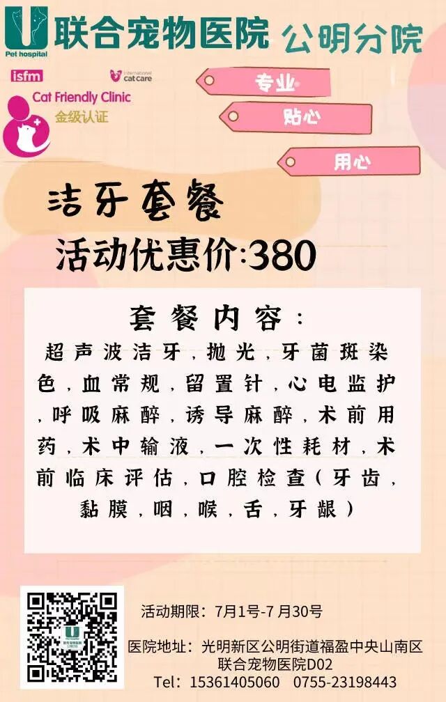 公明选美，获奖背后的努力.....