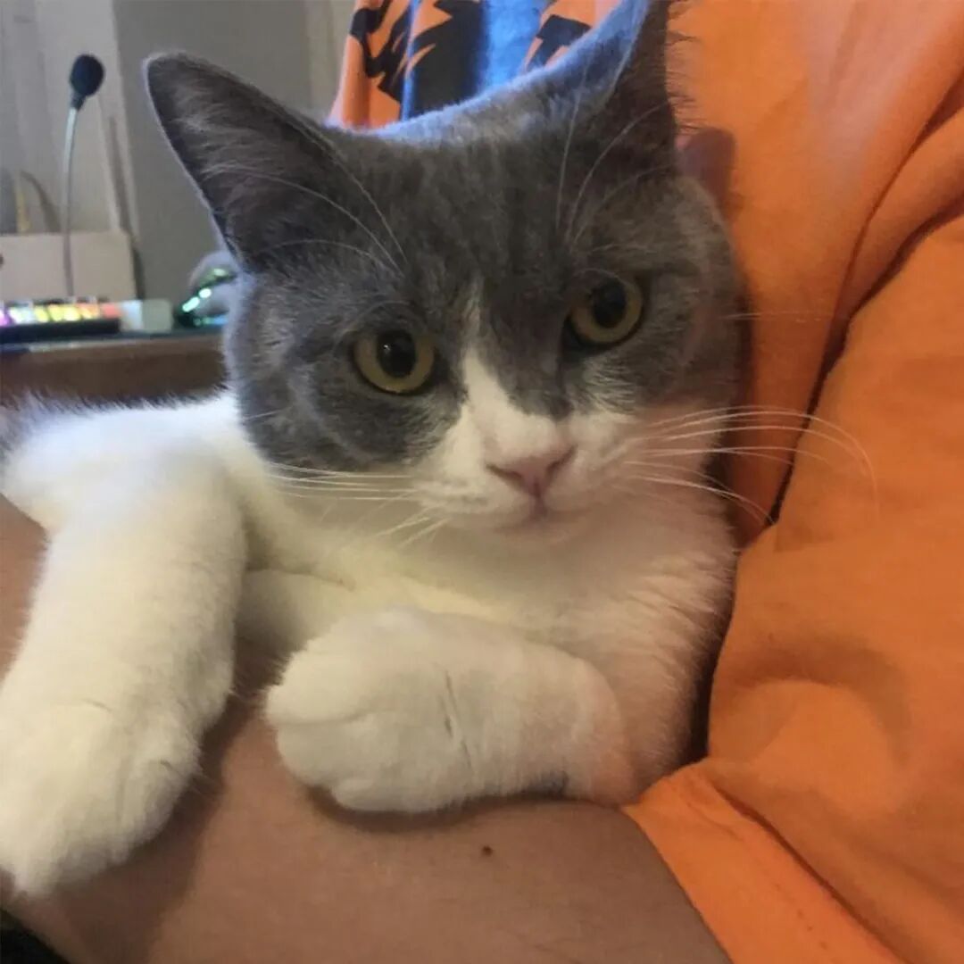 公明选美，获奖背后的努力.....