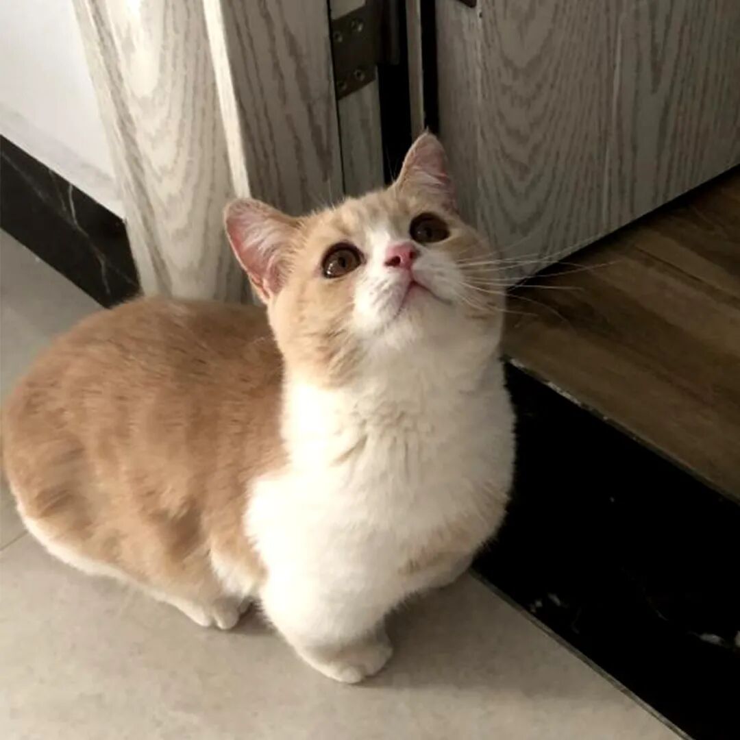 公明选美，获奖背后的努力.....