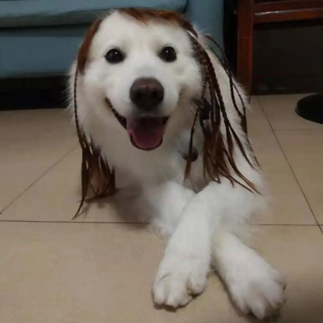 公明选美，获奖背后的努力.....