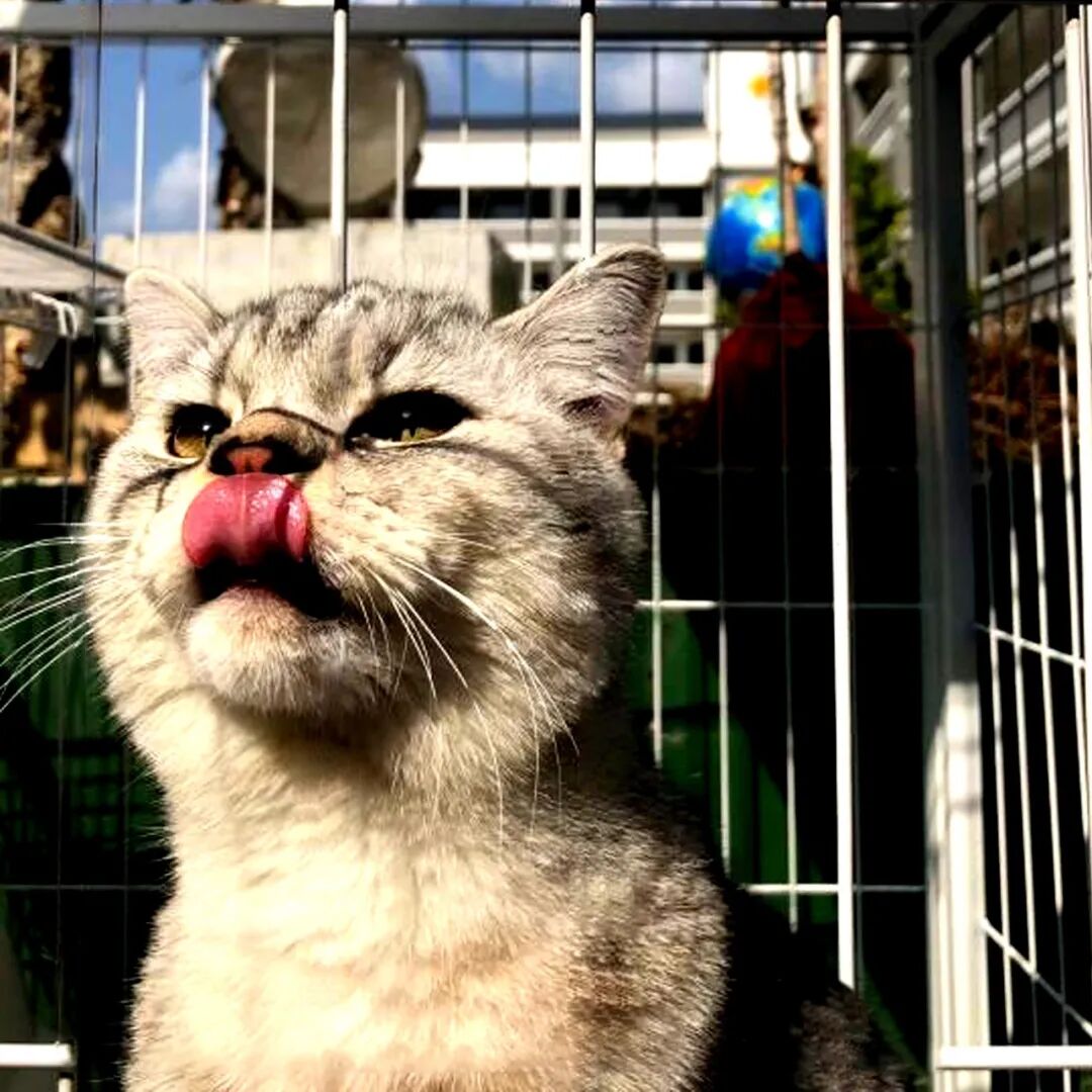 公明选美，获奖背后的努力.....