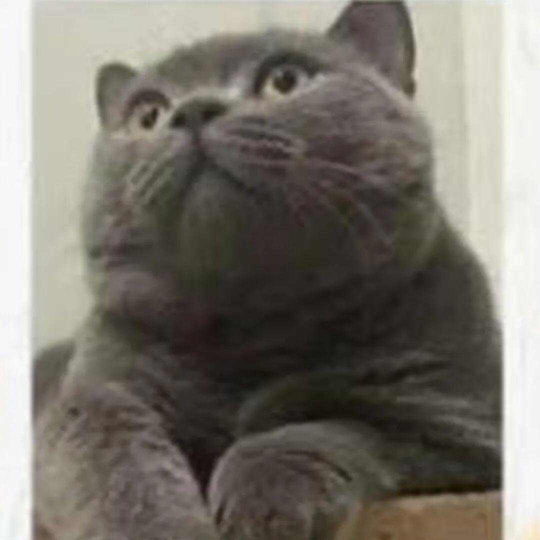 公明选美，获奖背后的努力.....