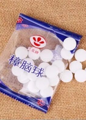 养猫禁忌！这些东西家里绝对不能出现