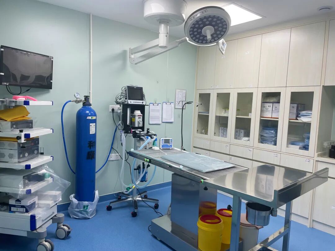 新店开业 | 万博分院开业仪式盛大启幕！