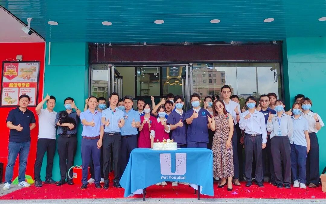 新店开业 | 松岗分院开业仪式盛大启幕！