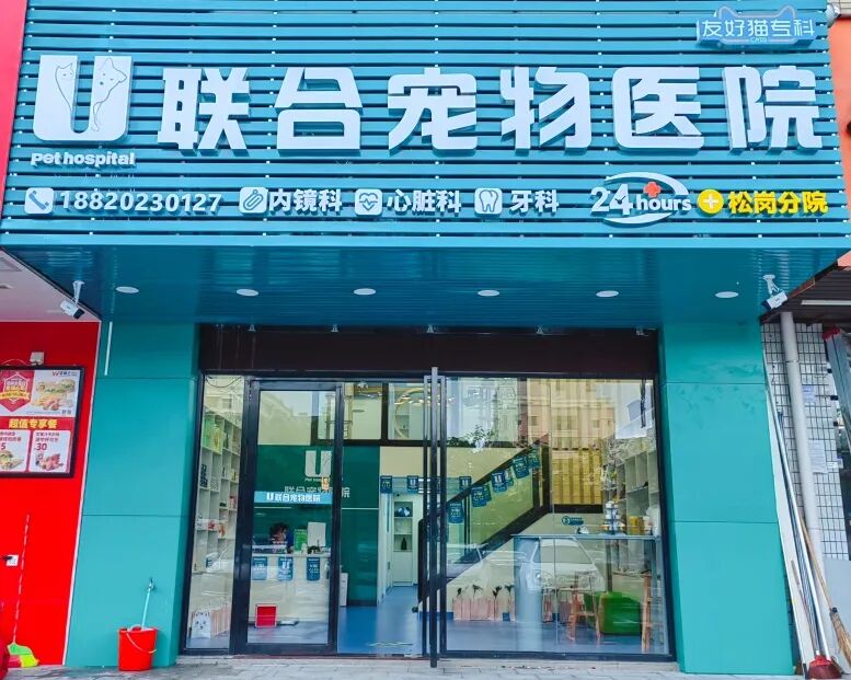 新店开业 | 松岗分院开业仪式盛大启幕！