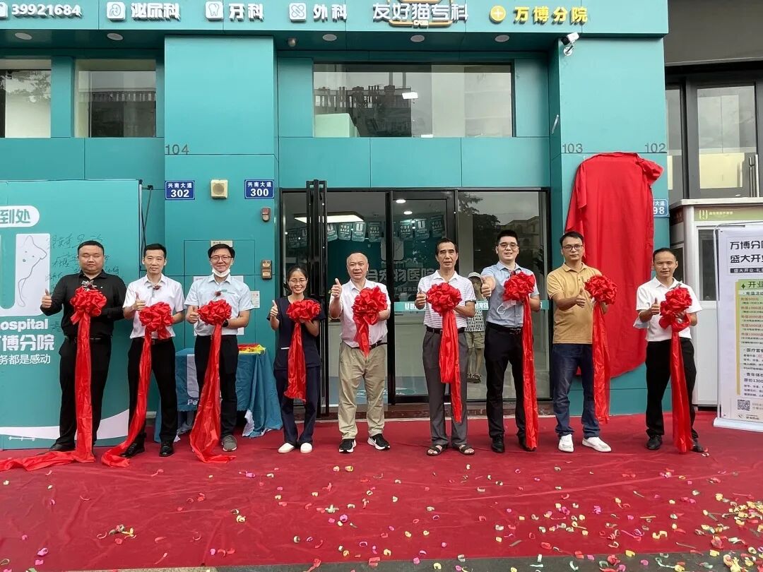 新店开业 | 万博分院开业仪式盛大启幕！