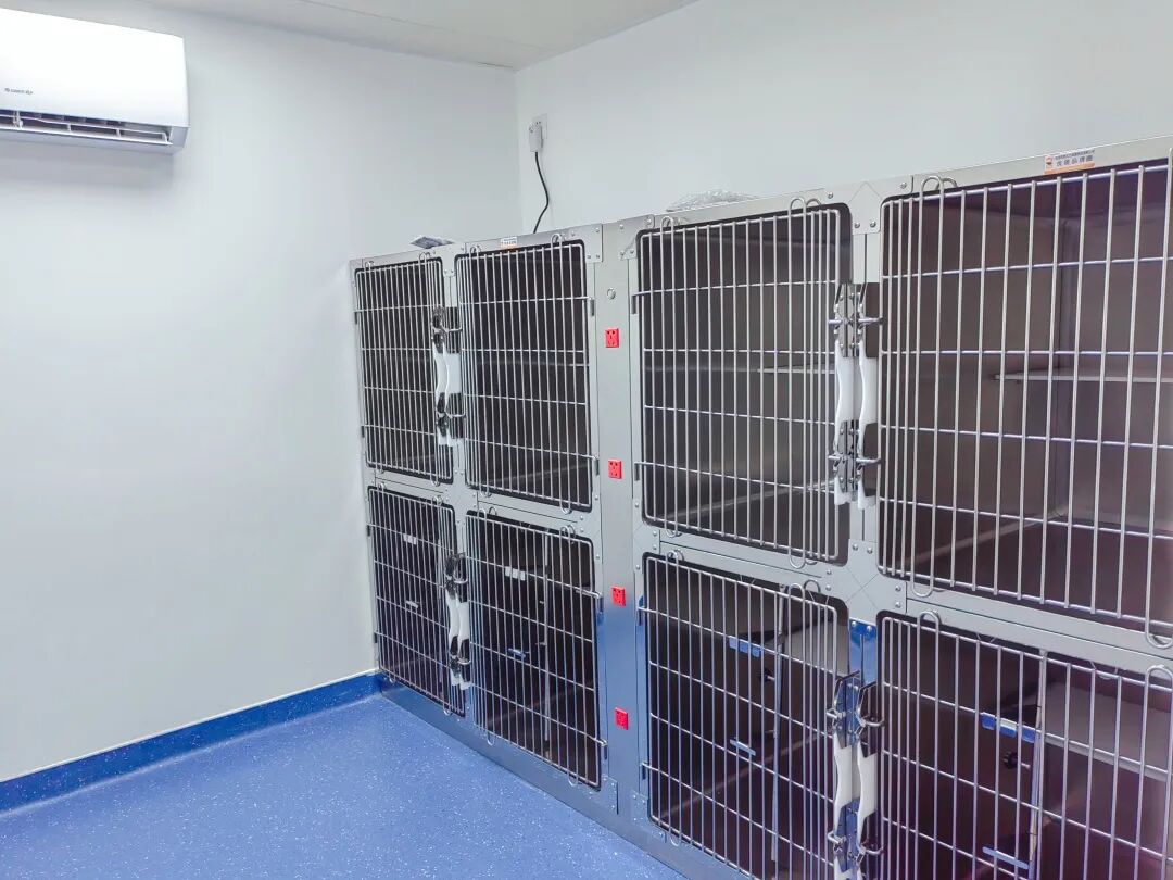 新店开业 | 松岗分院开业仪式盛大启幕！