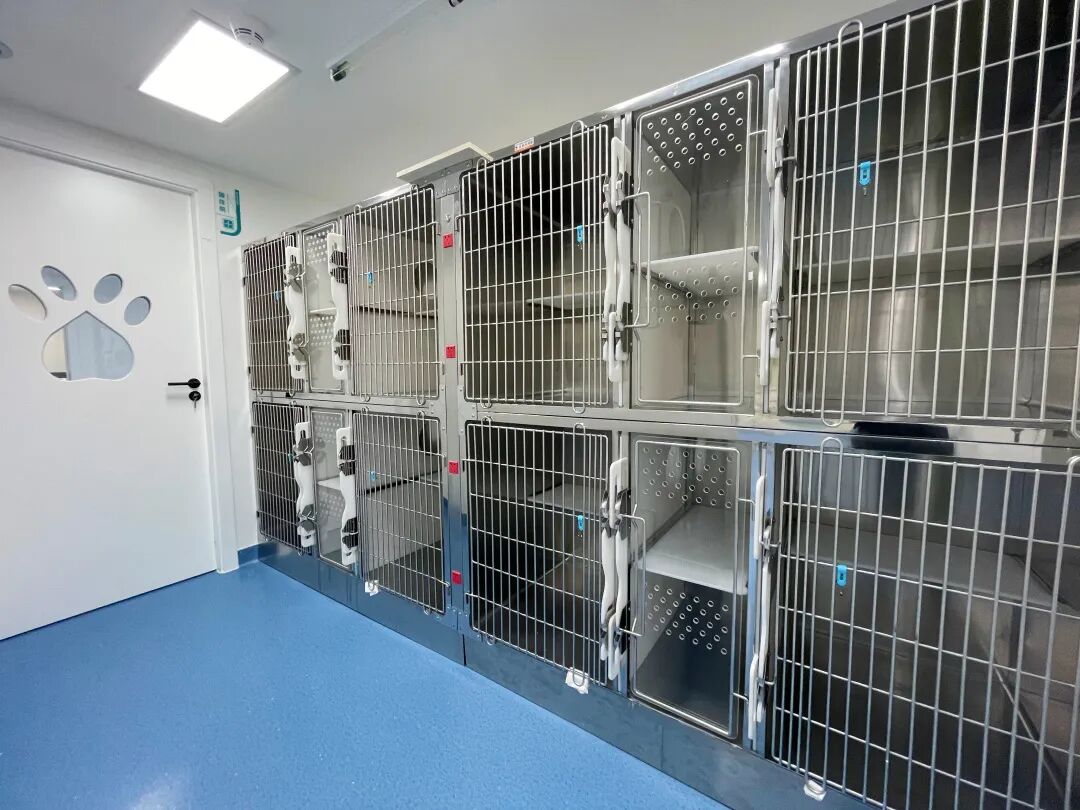 新店开业 | 万博分院开业仪式盛大启幕！