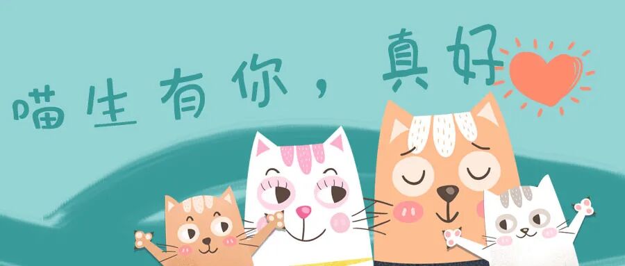 喵声电台| 我有家，我只是迷路了！