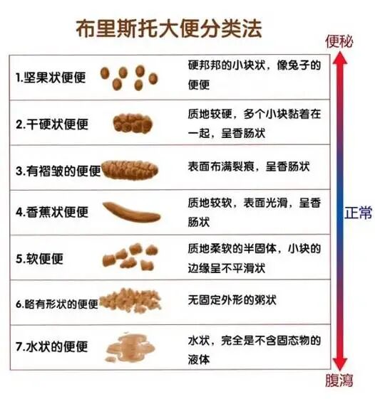 猫：你礼貌吗？