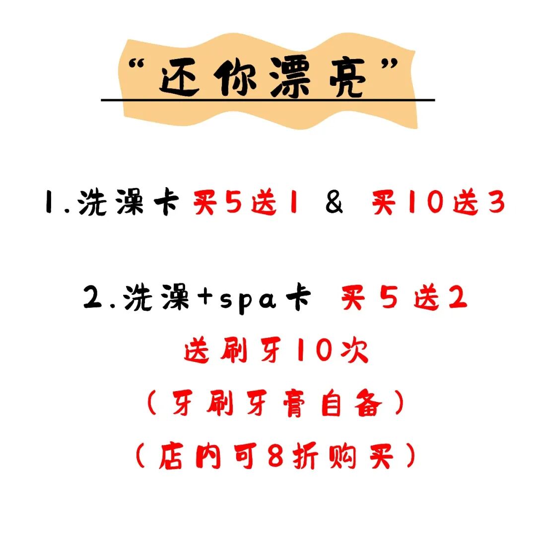 @联合日报—什么是猫you'hao医院？