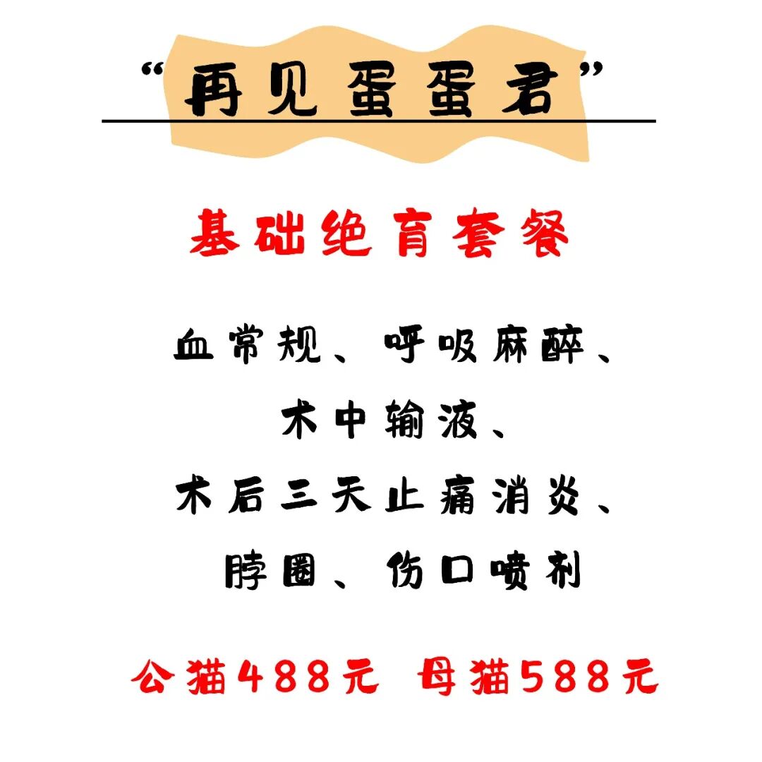 @联合日报—什么是猫you'hao医院？